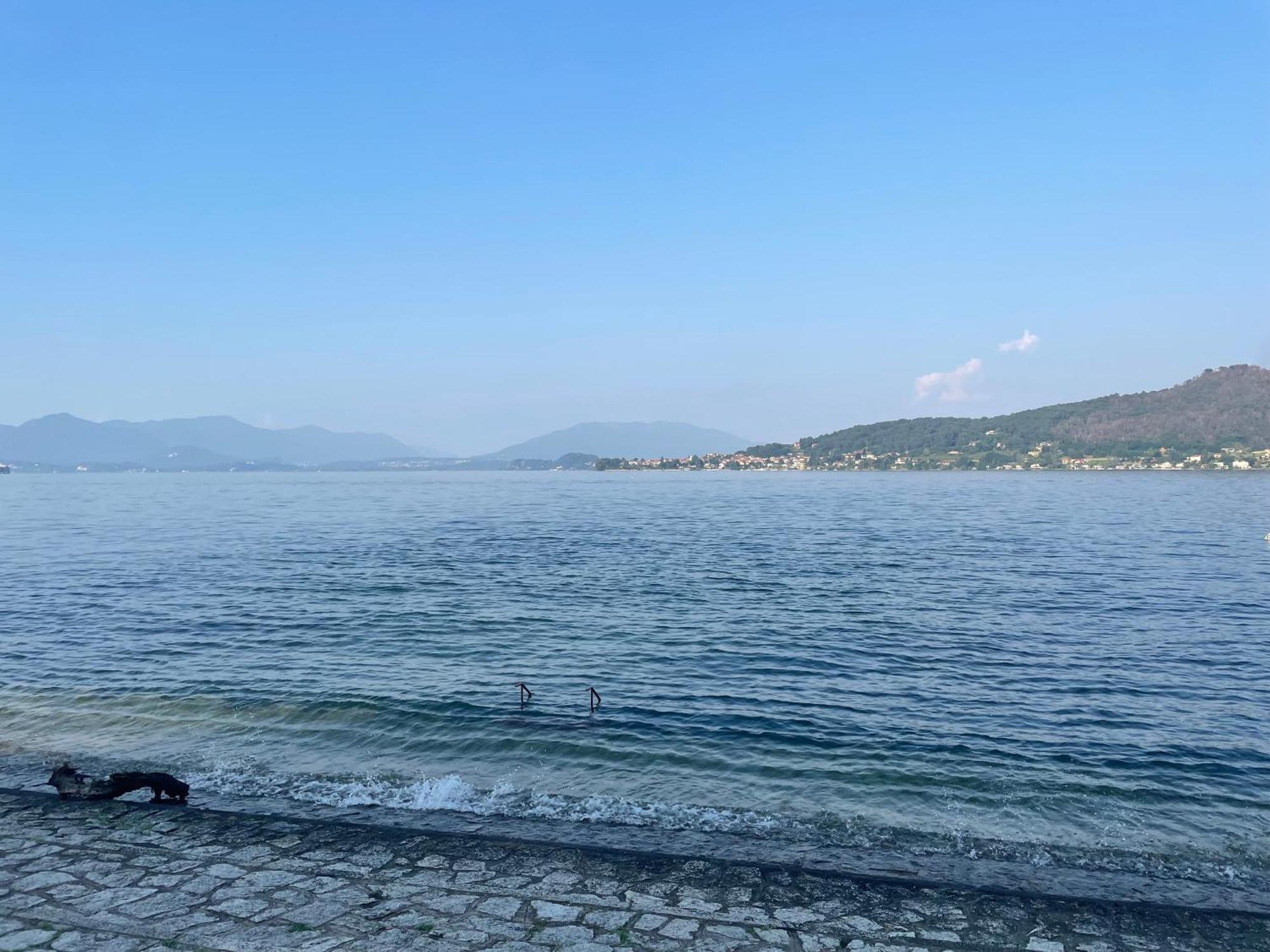 Appartamento Sul Lago - Meina Dış mekan fotoğraf